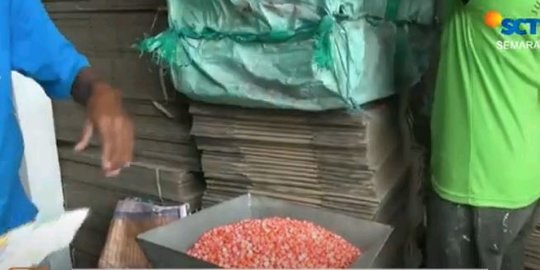 Sebanyak 4,5 Ton Bibit Jagung di Semarang Ternyata Palsu, Gunakan Zat Pewarna