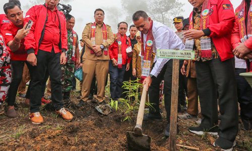 jadi tempat wisata buah pemprov sumut menanam 10 ribu pohon di samosir