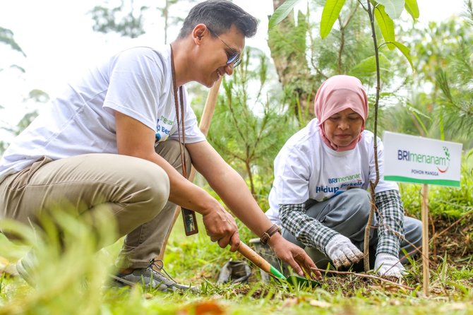 materi bank bri