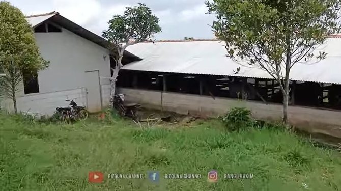 potret rumah mewah dari kayu di atas gunung milik pengusaha cantik luasnya 3 hektare