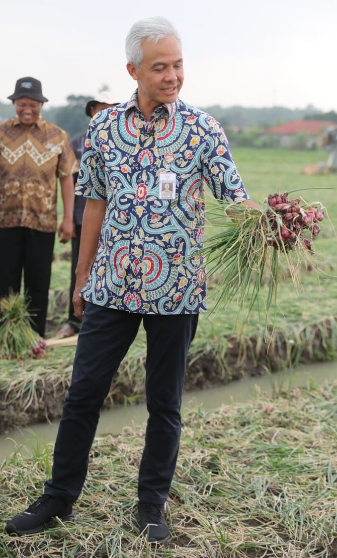 ganjar pranowo panen bawang di brebes