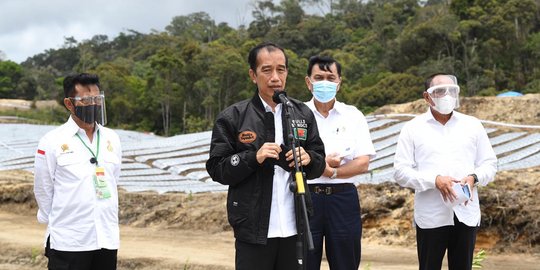 Jadi Proyek Nasional, Program Jokowi Food Estate Kalteng Digarap Serius