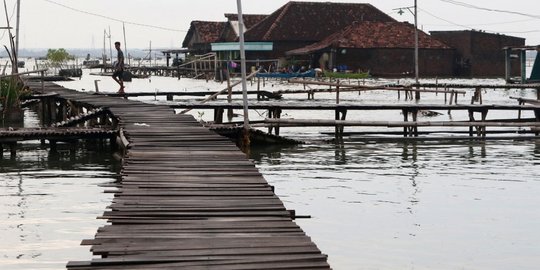 Ini Faktor Penyebab Pekalongan Terancam Tenggelam