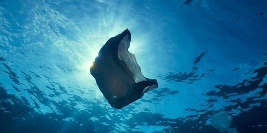 Cara Pemerintah Menekan Sampah Plastik di Lautan hingga 70 Persen Tahun 2025