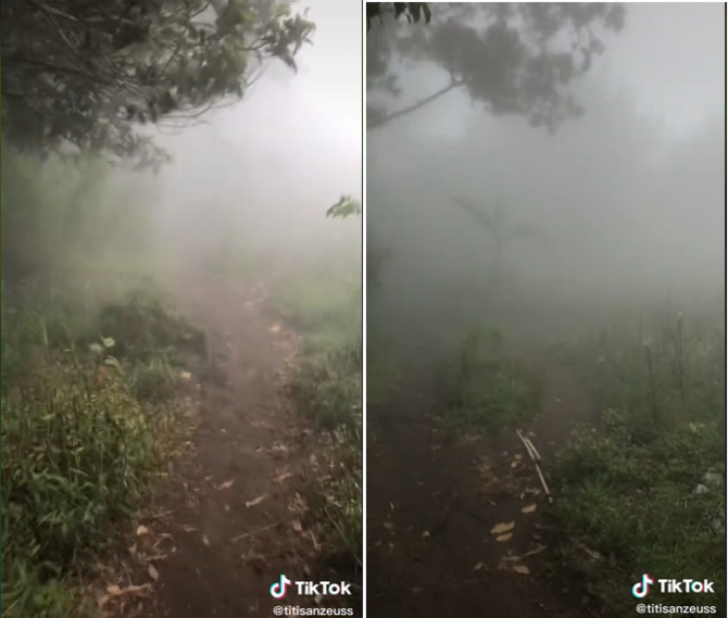 mendaki gunung lawu sendirian pria ini ceritakan kejadian yang bikin merinding