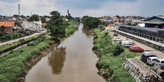 Pemprov DKI Anggarkan Rp700 M untuk Normalisasi Ciliwung