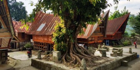 Mengunjungi Huta Siallagan di Pulau Samosir, Situs Tertua Peninggalan Suku Batak