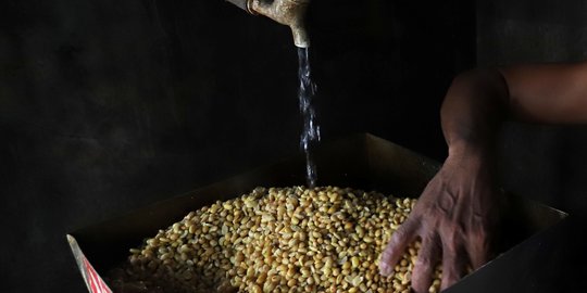 Indonesia Impor 350.000 Ton Kedelai dari Amerika