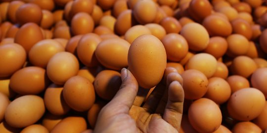 Hari Ini, Harga Telur Ayam Naik Jadi Rp28.000 per Kg