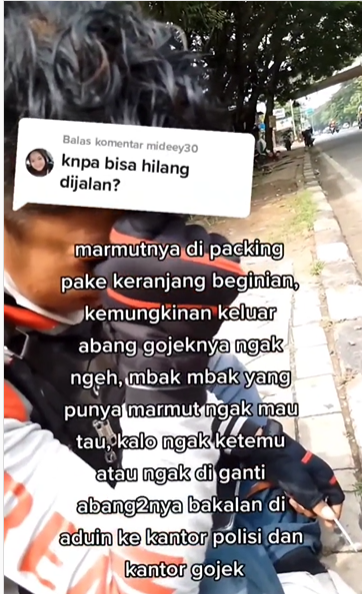 cerita driver ojol bawa marmut hilang di jalan