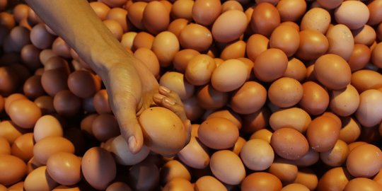 Jelang Natal dan Tahun Baru, Harga Telur Diperkirakan Naik ke Rp30.000 per Kg