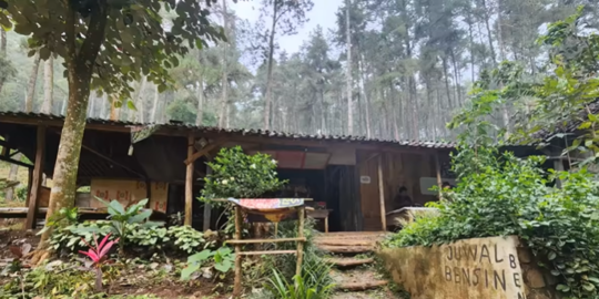 Unik, Warung Kopi di tengah Hutan Belantara Bukan 24 Jam & ada Wifi