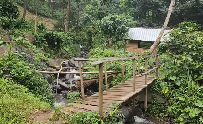 unik warung kopi ditengah hutan belantara bukan 24 jam ada wifinya