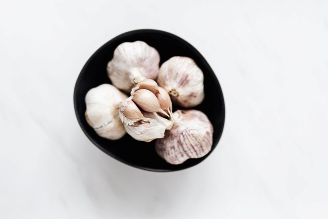 bawang putih allium sativum