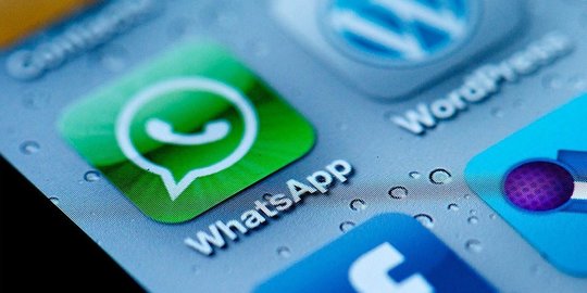 WhatsApp Luncurkan Fitur Baru Belanja Langsung di Aplikasi