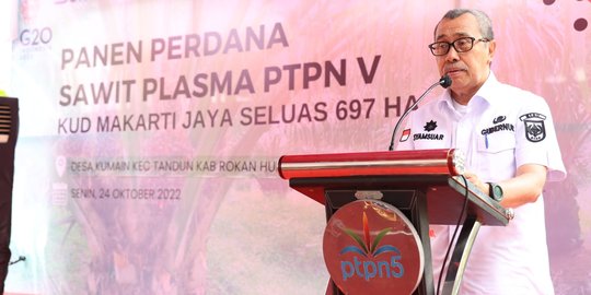 Gubernur Riau Minta Dana BPDPKS Buat Perbaiki Jalan Rusak