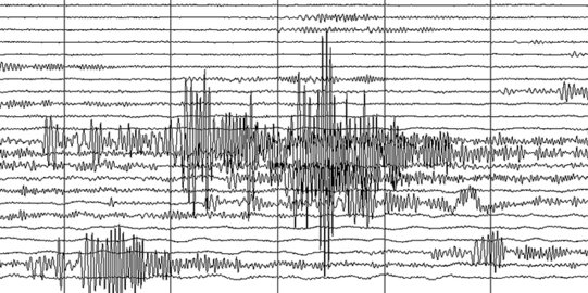 Gempa Magnitudo 5,5 Guncang Kupang, Tidak Berpotensi Tsunami