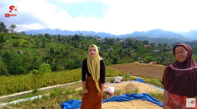 janda desa cantik bak mutiara tersembunyi tinggal di tengah sawah dikelilingi gunung