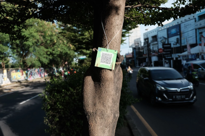 salah satu pohon di jalan margonda yang sudah dipasang barcode