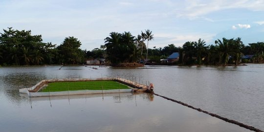 Program Food Estate Gagal, Banyak Alat-Alat Mangkrak