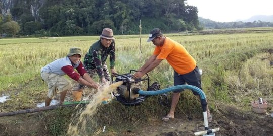 Wujudkan Ekonomi Hijau, Limbah Pertanian Bisa Gantikan Energi Fosil