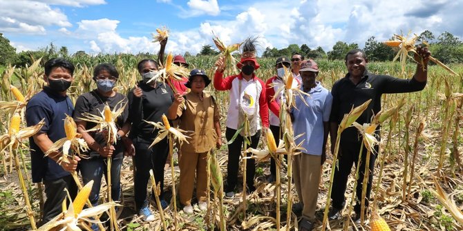 Jalankan Arahan Jokowi, Organisasi Binaan BIN Bantu Berdayakan Petani Papua