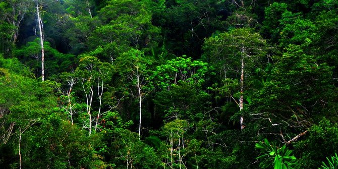 CEK FAKTA: Sosok Aneh Muncul di Hutan Kalimantan?