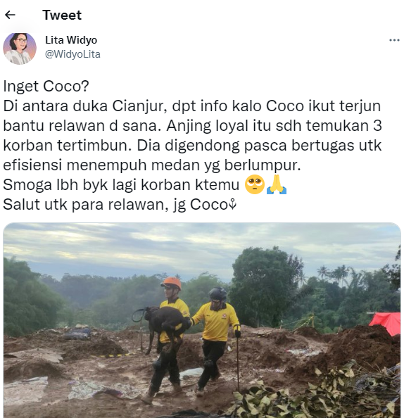 coco anjing dari sar semarang yang temukan korban gempa cianjur