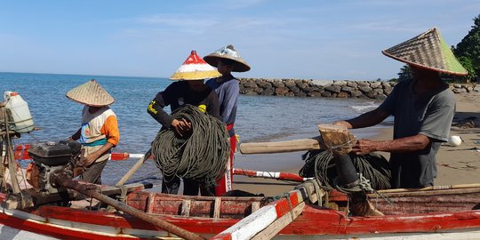 Potret Tradisi Maelo Pukek, Bergotong Royong Memanen Hasil Laut