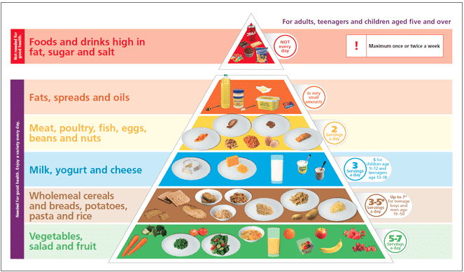 piramida makanan sehat