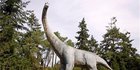 Ilmuwan Temukan Sesuatu dalam Isi Perut Fosil Dinosaurus Berusia 120 Juta Tahun