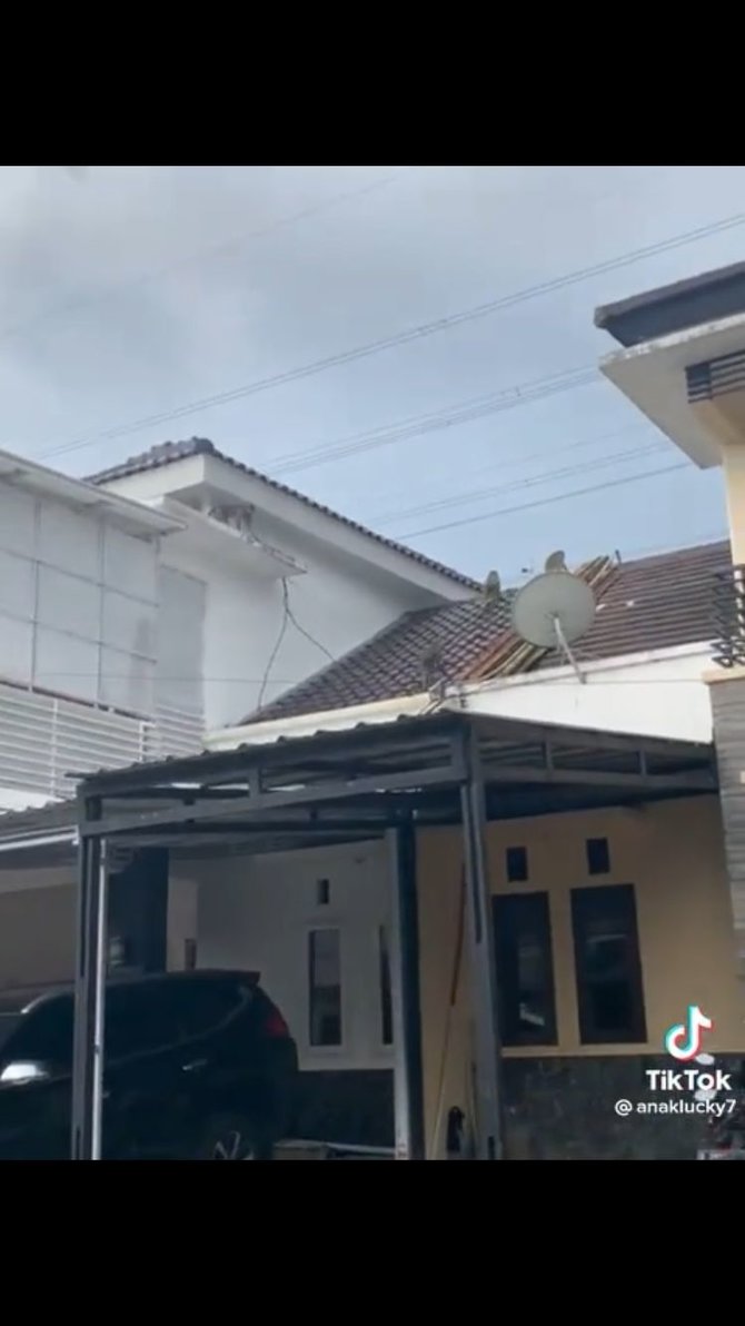 viral video monyet turun ke pemukiman warga diduga ada kaitan dengan sesar lembang
