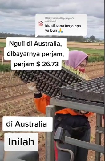 wanita asal ri nguli di australia jadi buruh kasar ternyata gajinya luar biasa