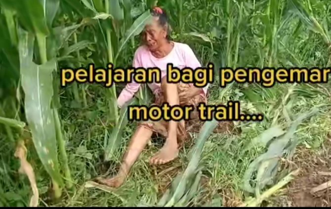 viral nenek menangis histeris kebun jagungnya rusak dilindas motor trail