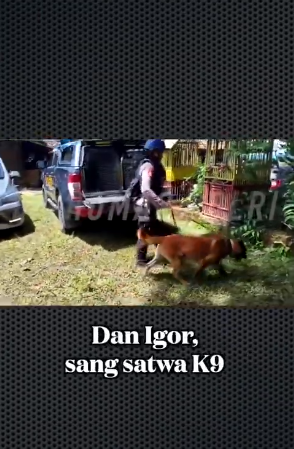 polwan ini bawa satwa k9 tak lelah cari korban gempa cianjur