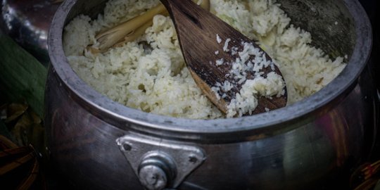 Kabar Terbaru soal Rencana Pemerintah Beri Rice Cooker Gratis ke Masyarakat