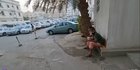 Potret Pemukiman Kumuh & Bau di Jeddah Arab Saudi, Tapi Mobil Warganya Mewah Banget