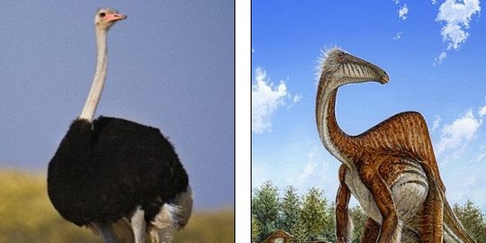 Dinosaurus yang Bisa Hidup di Air Ditemukan di Mongolia