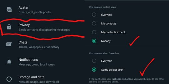 Cara WhatsApp Tidak Terlihat Online Agar Tak Diganggu Saat Liburan