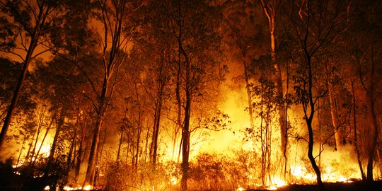 Penyebab Terjadinya Efek Rumah Kaca dan Dampaknya, Perlu Diketahui