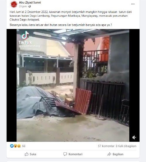 cek fakta viral video monyet serbu rumah warga di bandung simak faktanya