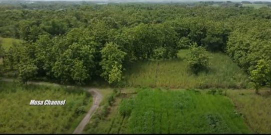 Dulunya Dilanda Banjir Besar, Ini Kisah Kampung di Rembang yang Ditinggalkan Warganya