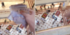 Aksi Sebarkan Uang dari Lantai Atas Mall Ini Viral, Banjir Kritikan