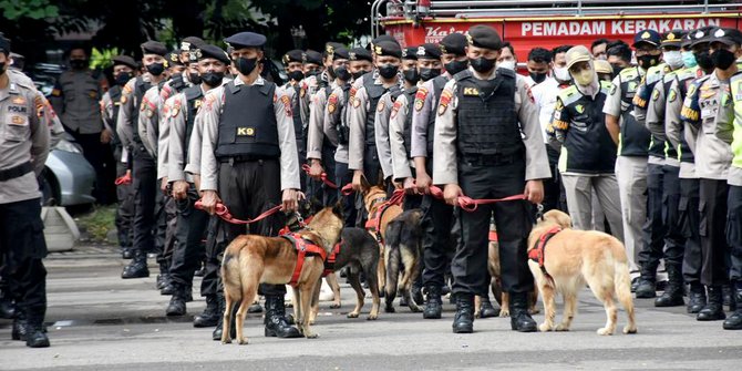 11 Ekor Anjing K9 Turut Amankan Tasyakuran Pernikahan Kaesang dan Erina di Solo