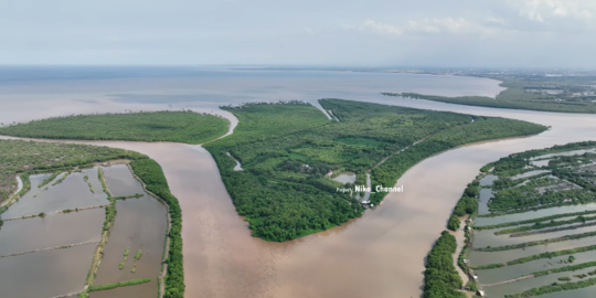 Potret Terbaru Pulau Lusi, Daratan Hasil dari Endapan Lumpur Lapindo Sidoarjo