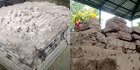 Tanam Melinjo, Petani Malah Temukan Candi Kuno Terkubur 5 Meter di Perut Bumi