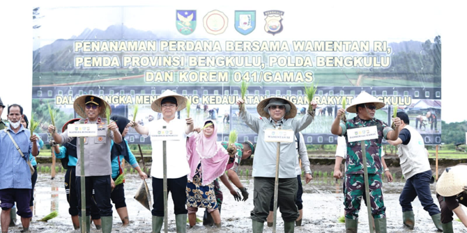 Dorong Petani Tingkatkan Produksi, Wamentan Harvick Tanam Padi Serentak di Bengkulu