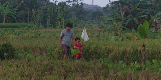 Lahan Sawah Menipis, Pemkot Bogor Dorong Warga Bisa Mandiri Pangan