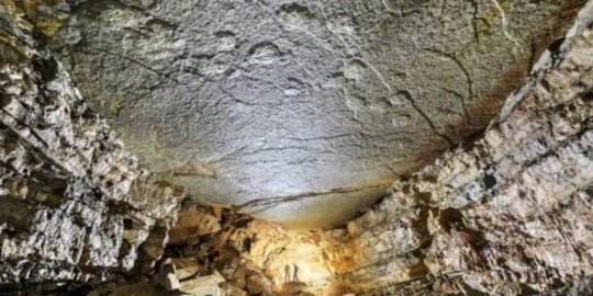Jejak Kaki Spesies Dinosaurus Berusia 168 Juta Tahun Ditemukan di Atap Gua