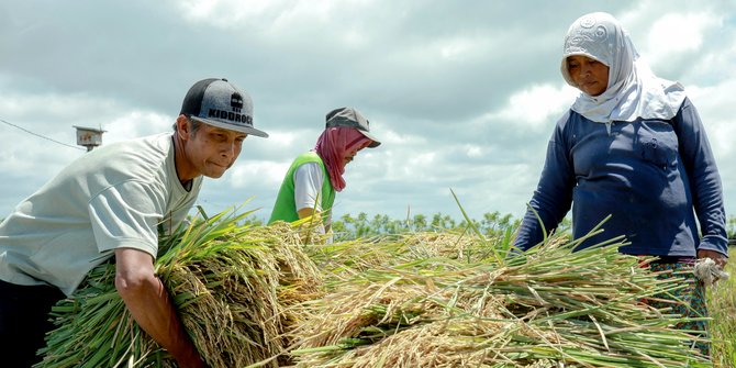 DPR Pertanyakan Siapa Yang Menyerap Beras Petani